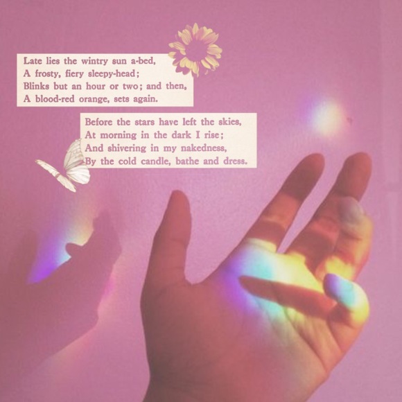 Tea - Picture 1 of 1